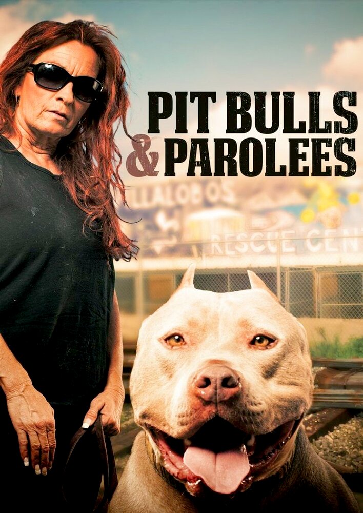 Pit Bulls and Parolees