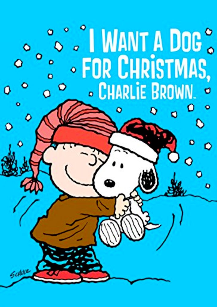 I Want a Dog for Christmas, Charlie Brown