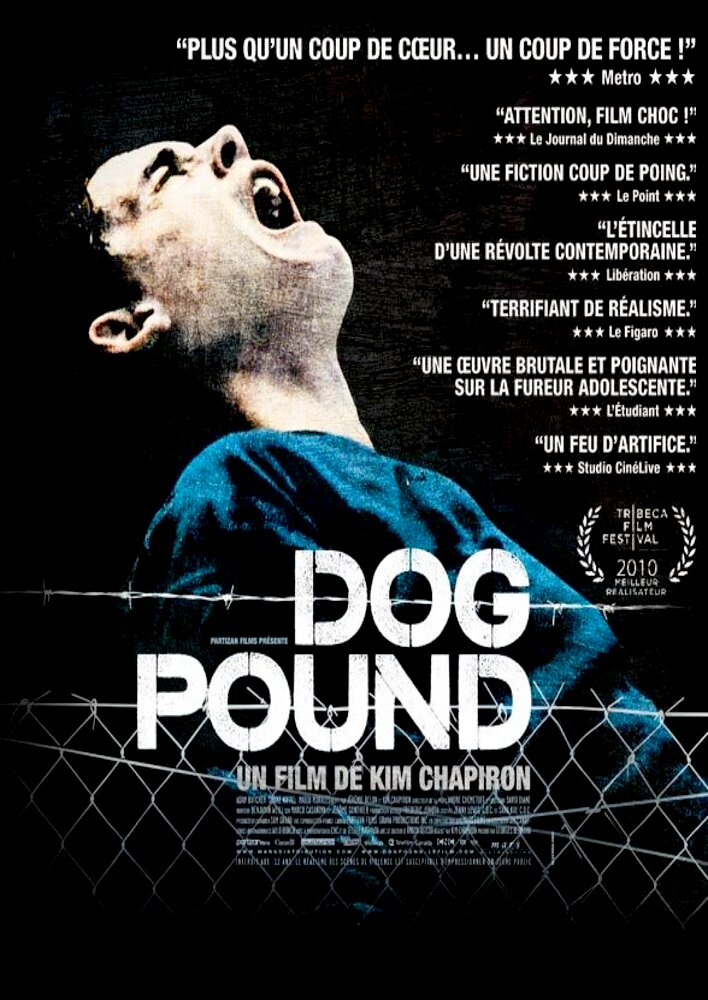 Dog Pound