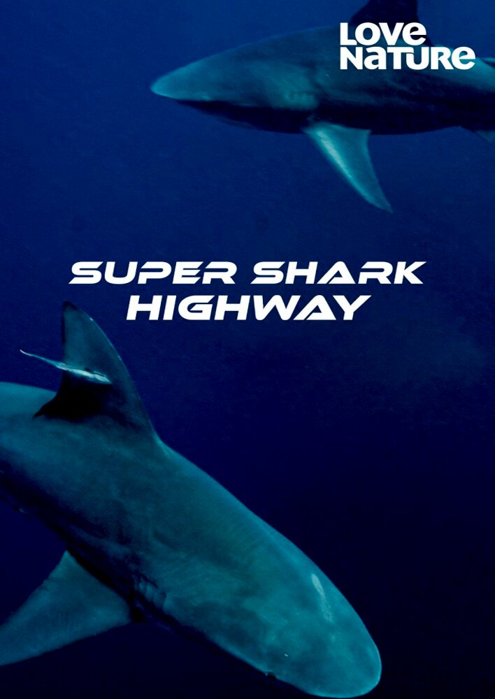 Super Shark Highway