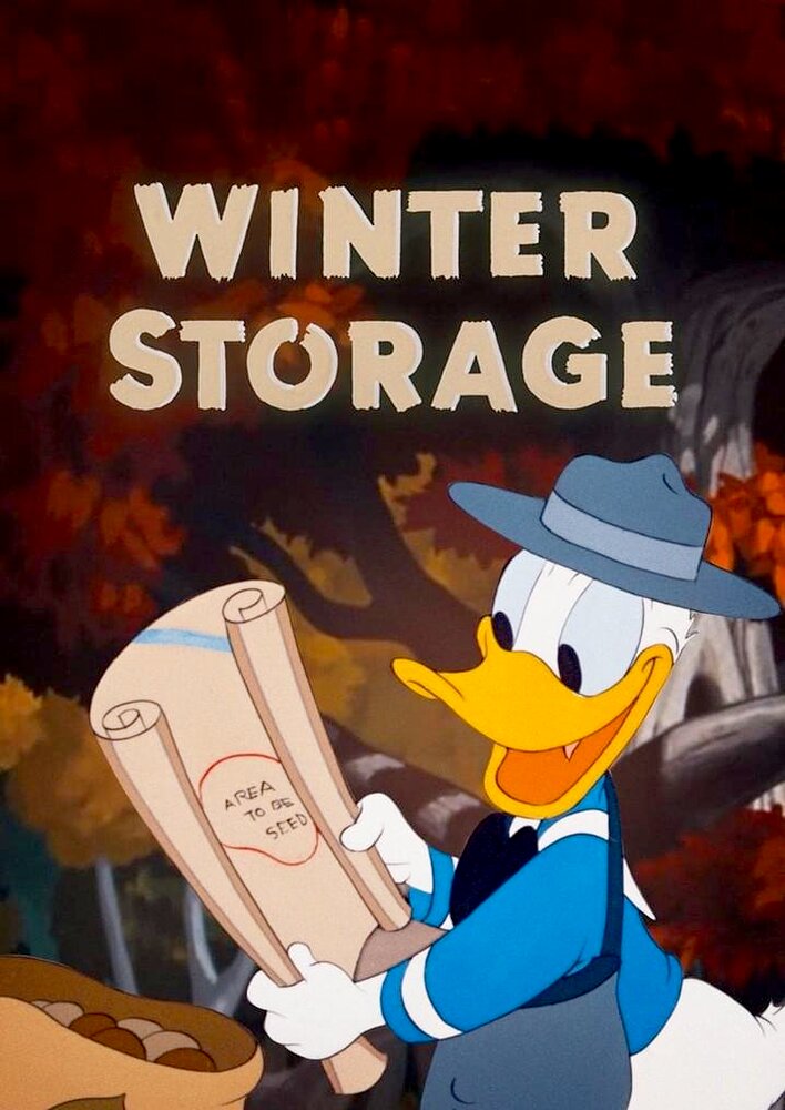 Winter Storage