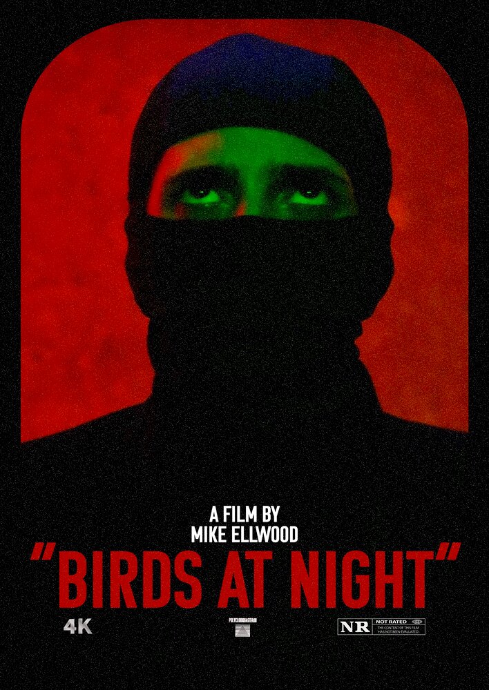 Birds at Night