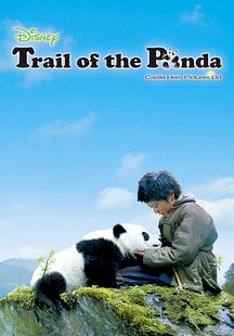 Trail of the Panda