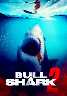 Bull Shark 2