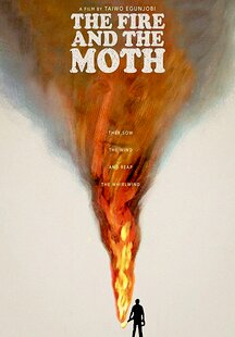 The Fire and the Moth