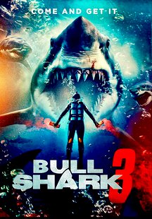 Bull Shark 3