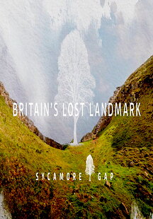 Sycamore Gap: Britain's Lost Landmark