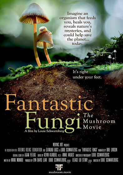 Fantastic Fungi