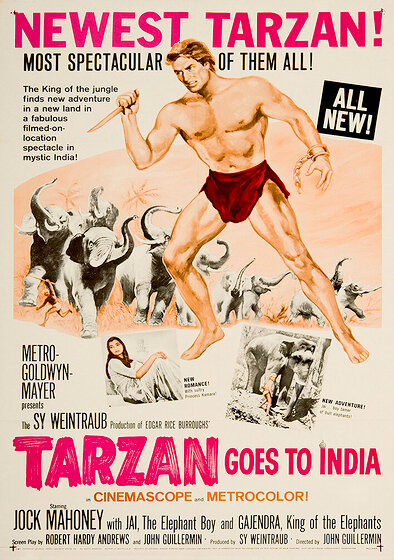 Tarzan Goes to India