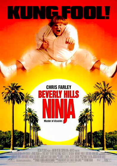 Beverly Hills Ninja