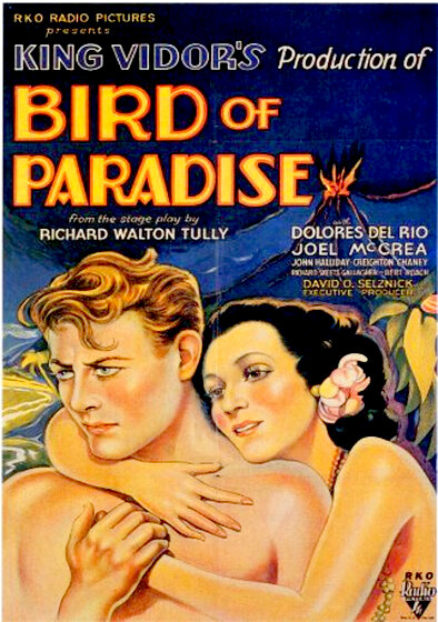 Bird of Paradise