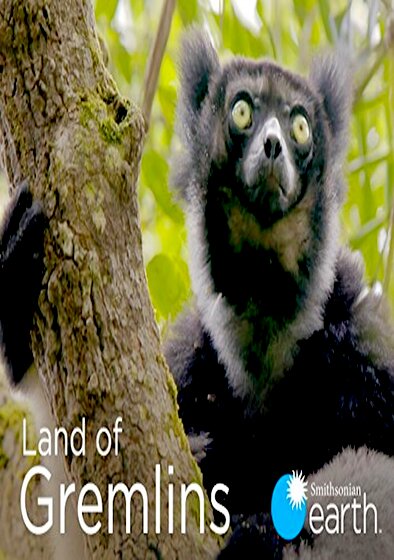 Land of Gremlins