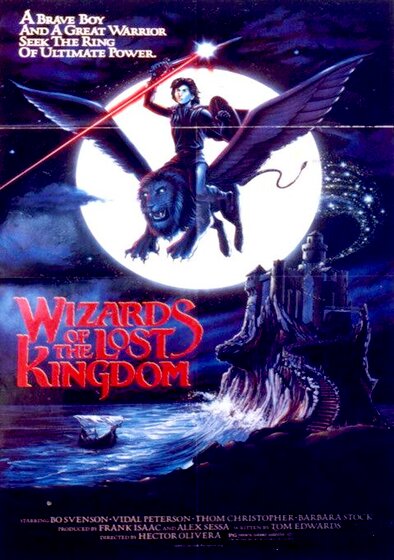 Wizards of the Lost Kingdom
