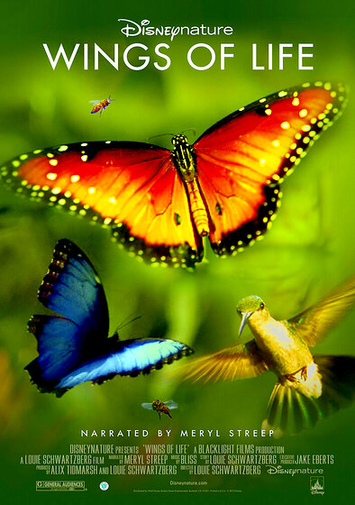 Disneynature: Wings of Life