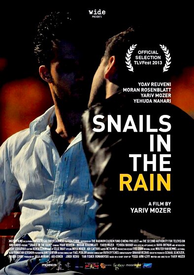 Snails in the Rain