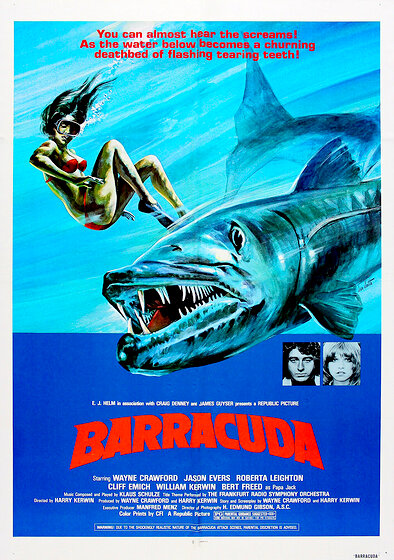 Barracuda