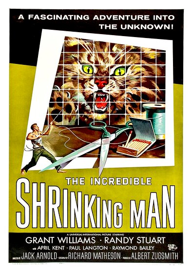 The Incredible Shrinking Man