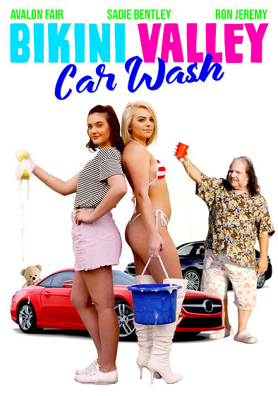 Bikini Valley Car Wash