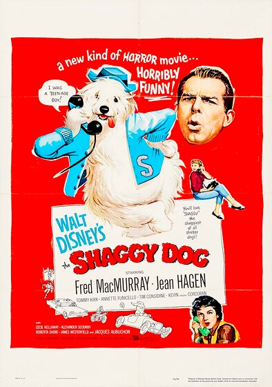 The Shaggy Dog