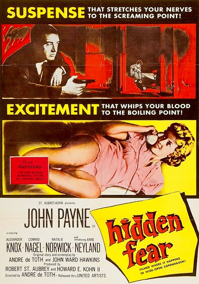 Hidden Fear