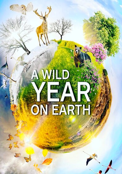 A Wild Year on Earth