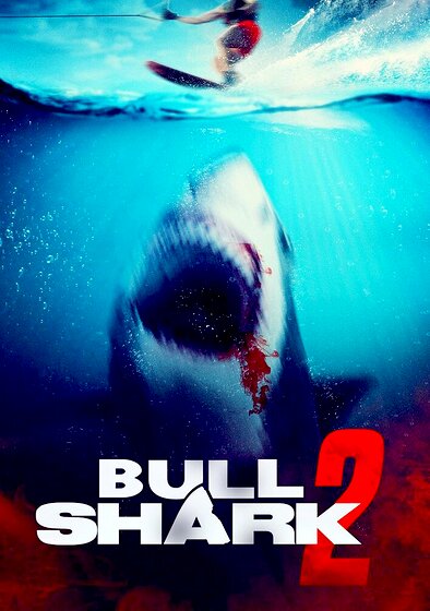 Bull Shark 2