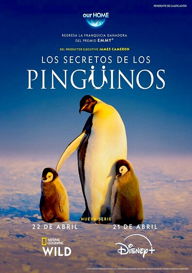 Secrets of the Penguins