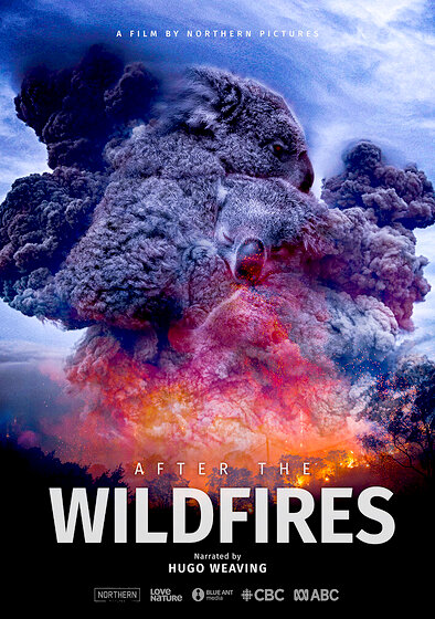 After the Wildfires