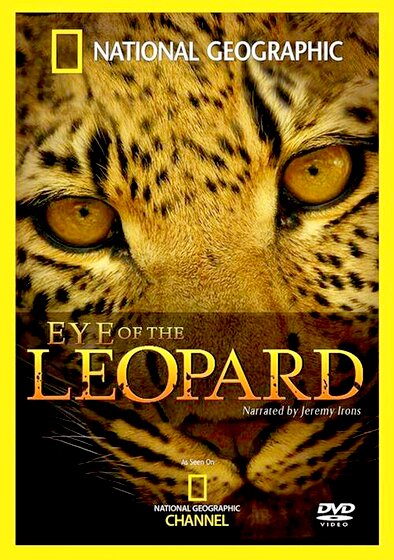 Eye of the Leopard