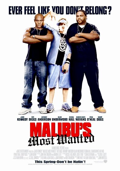 Malibu's Most Wanted