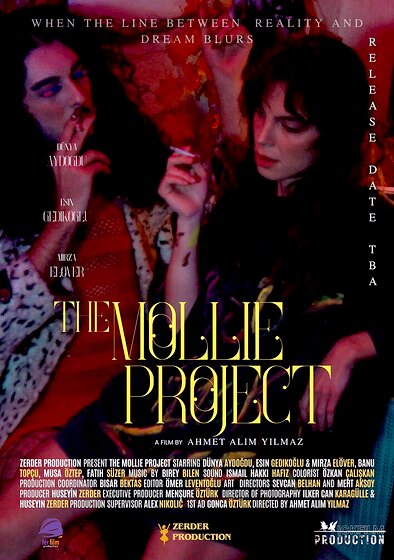 The Mollie Project