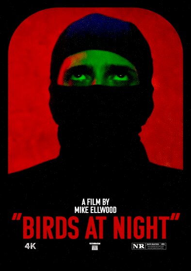 Birds at Night