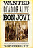 Bon Jovi: Wanted Dead or Alive