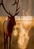 Elk Country