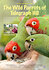 The Wild Parrots of Telegraph Hill