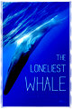 The Loneliest Whale: The Search for 52