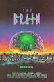 The Brain