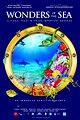 Wonders of the Sea