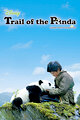 Trail of the Panda