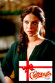 The Christmas Gift
