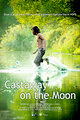 Castaway on the Moon