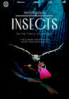 Mysterious Origins of Insects