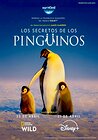 Secrets of the Penguins