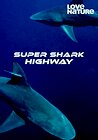 Super Shark Highway