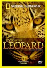 Eye of the Leopard