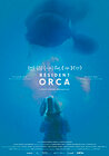 Resident Orca