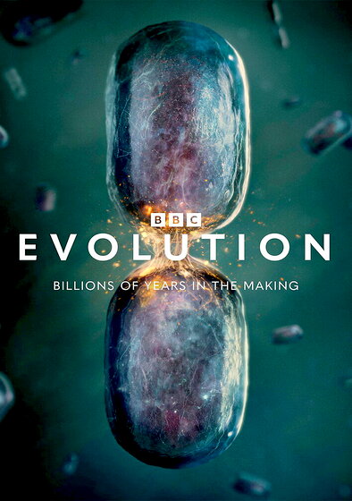 Evolution